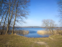 Krakower See